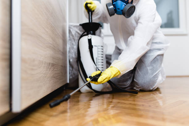 Best Affordable Pest Control Services  in Williamsburg, OH