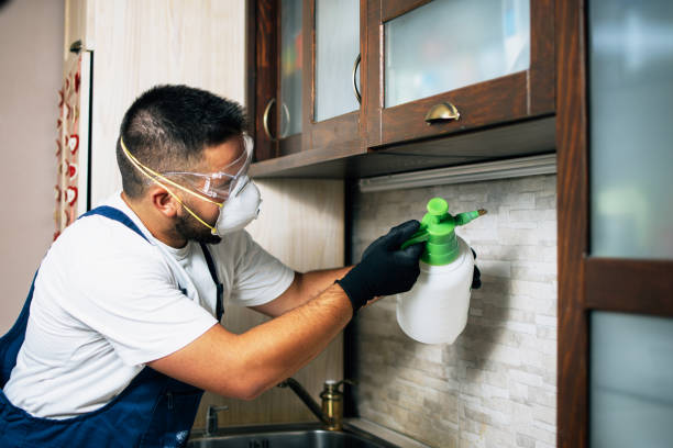 Pest Control Cost in Williamsburg, OH