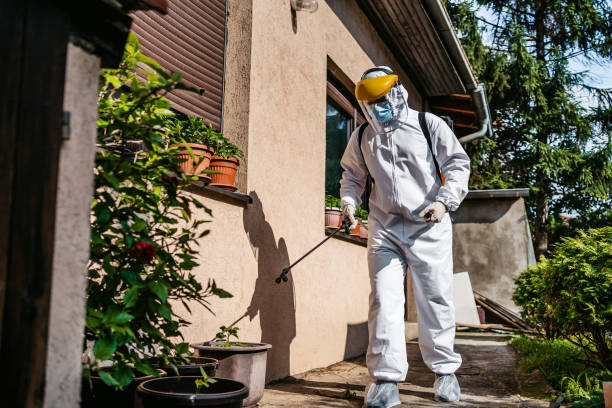 Best Wasp Removal Services  in Williamsburg, OH