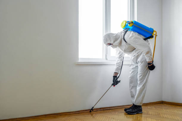 Best Termite Control Services  in Williamsburg, OH