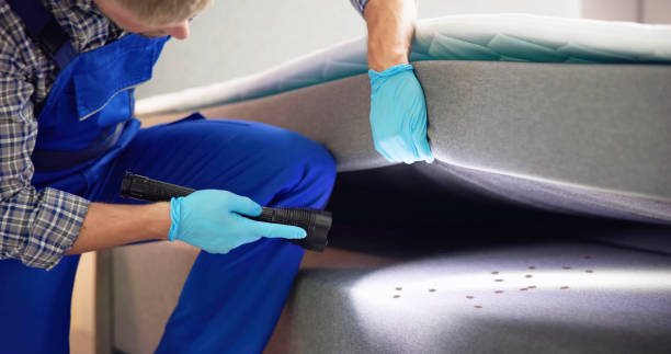 Best Termite Control Services  in Williamsburg, OH
