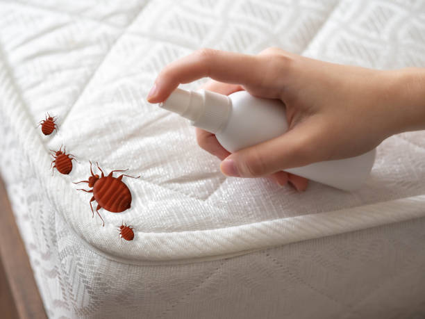 Best Mosquito Control Services  in Williamsburg, OH