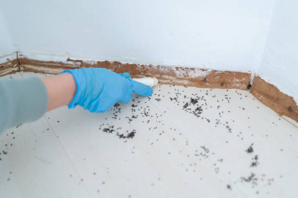 Best Pest Inspection Near Me  in Williamsburg, OH