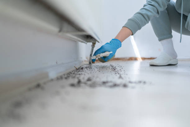 Best Emergency Pest Control  in Williamsburg, OH