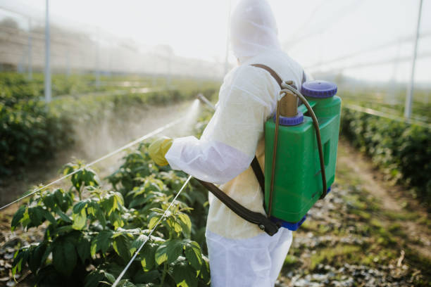 Wasp Removal Services in Williamsburg, OH